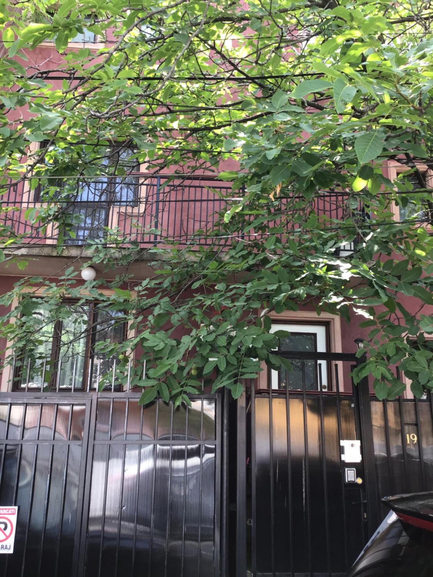 Rora Rose Hotel Bucureşti Exterior foto